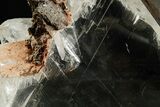 Large, Glassy Selenite Crystal - Naica Mine, Mexico #372139-4